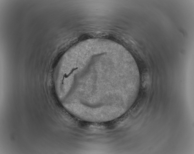 X0000112090515200909011107