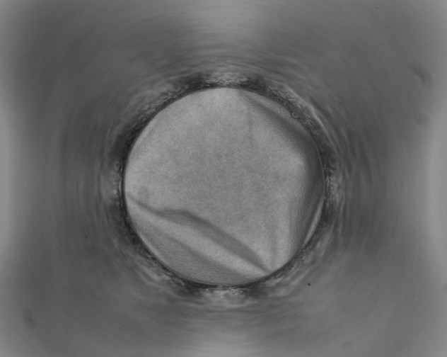 X0000112090517200909011107