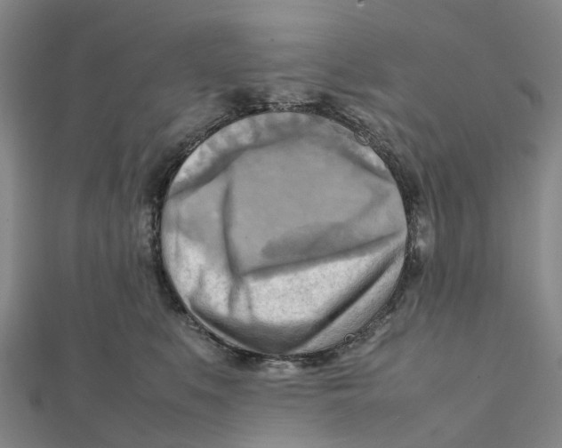 X0000112090519200909011107