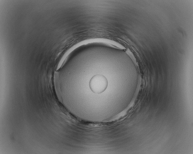 X0000112090520200909011107