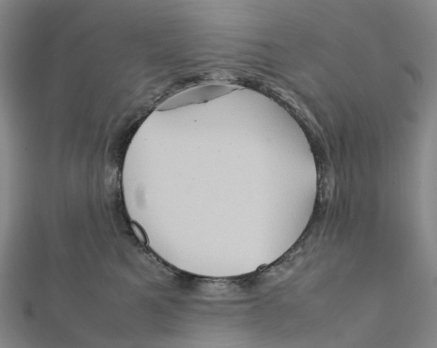X0000112090521200909011107