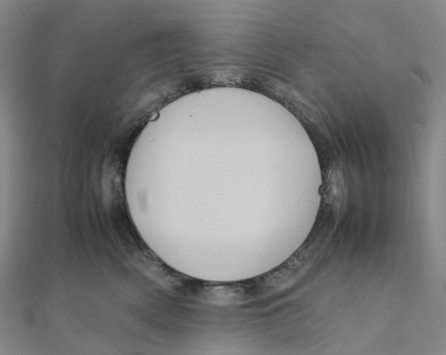 X0000112090522200909011107