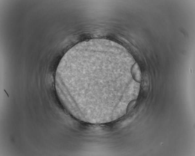 X0000112090523200909011107