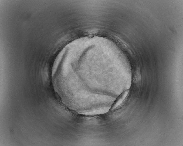 X0000112090524200909011107