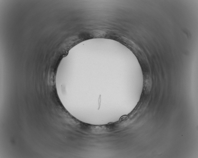X0000112090525200909011107