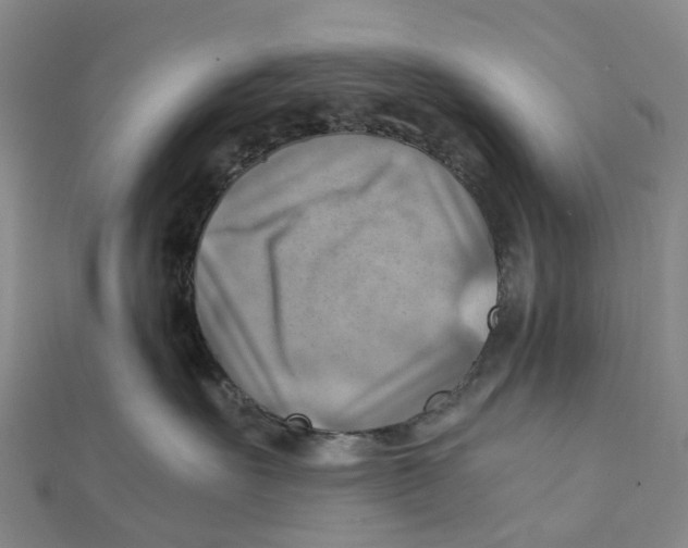 X0000112090527200909011107
