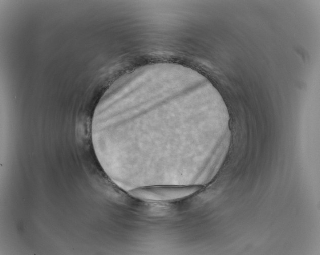 X0000112090528200909011107
