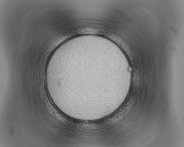 X0000112090529200909011106