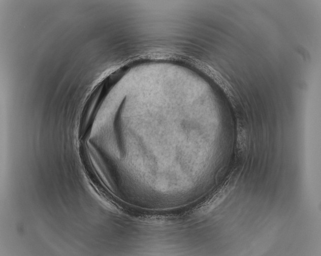 X0000112090530200909011106