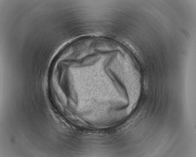 X0000112090532200909011106