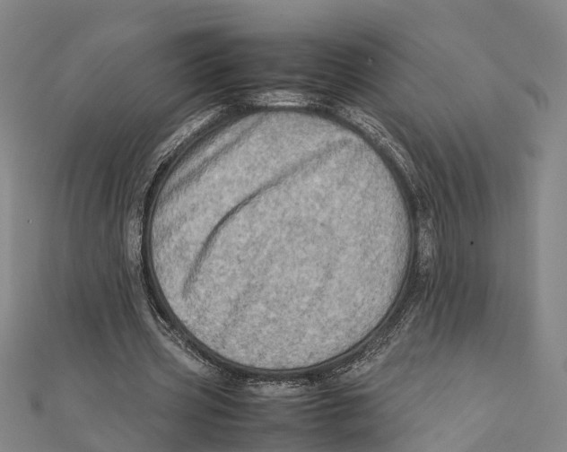 X0000112090533200909011106