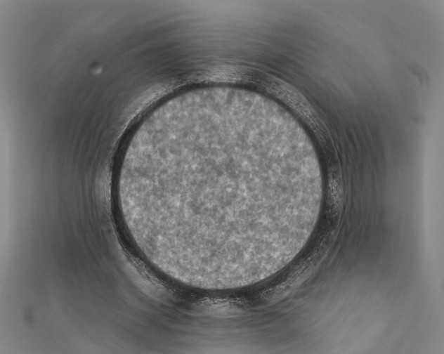 X0000112090534200909011106