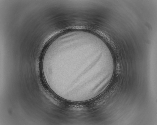 X0000112090535200909011106