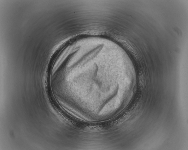X0000112090536200909011106