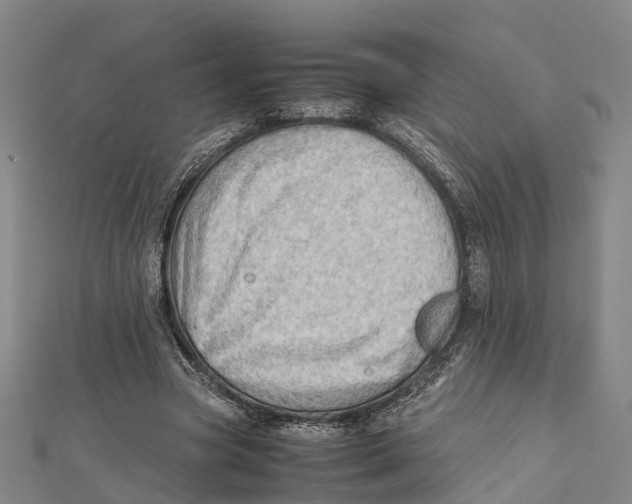 X0000112090537200909011106