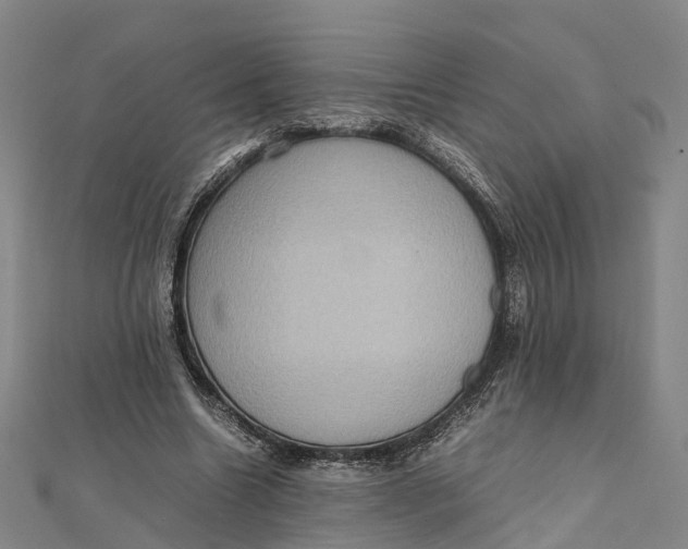 X0000112090538200909011106