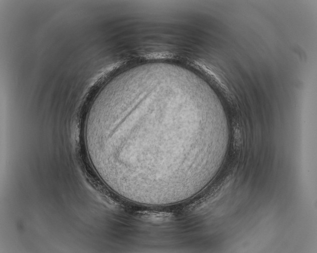 X0000112090539200909011106