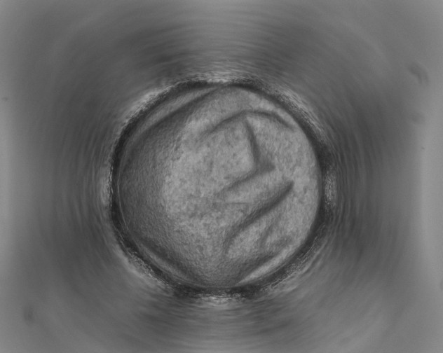 X0000112090540200909011106