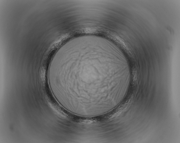 X0000112090542200909011106