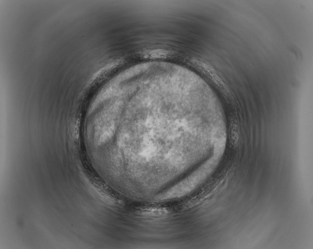 X0000112090543200909011106