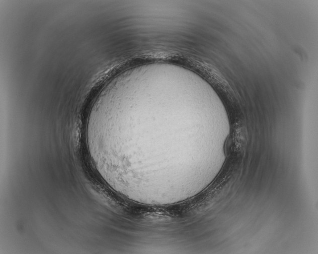 X0000112090544200909011106