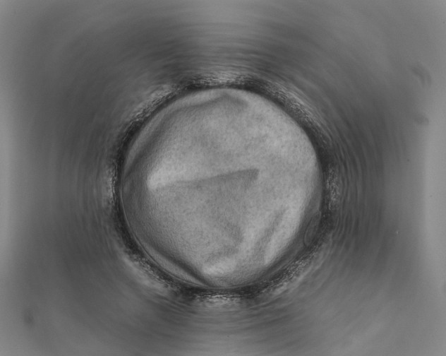X0000112090546200909011106