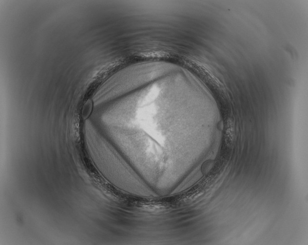 X0000112090547200909011106
