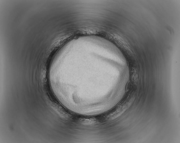 X0000112090548200909011106