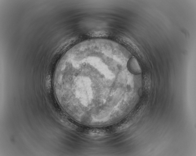 X0000112090549200909011106