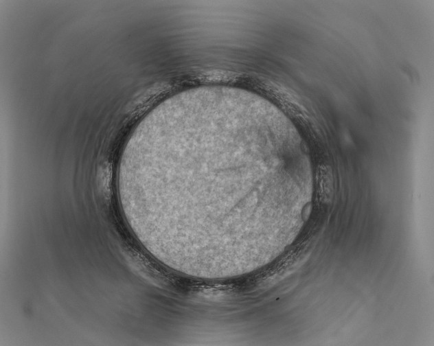 X0000112090550200909011106