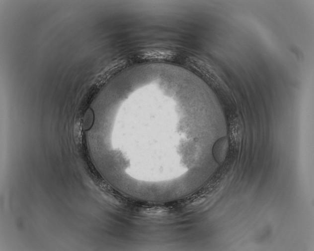 X0000112090551200909011106