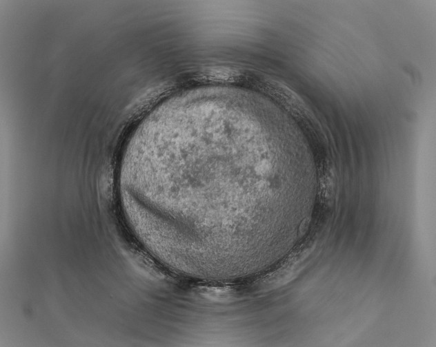 X0000112090552200909011106