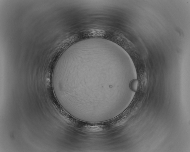 X0000112090553200909011106