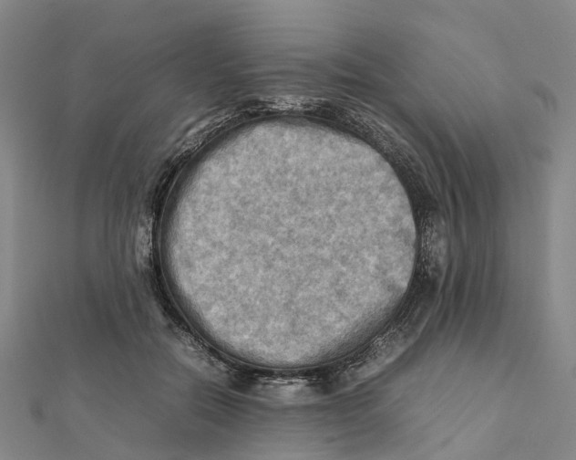 X0000112090554200909011106