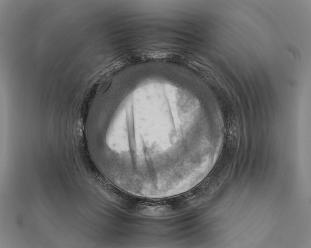 X0000112090555200909011106