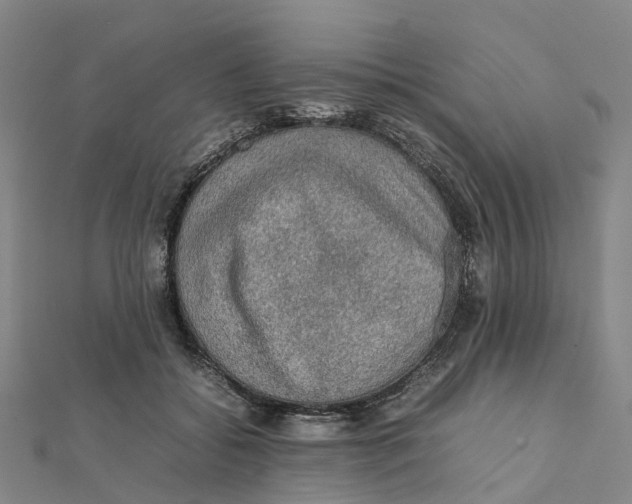 X0000112090556200909011106