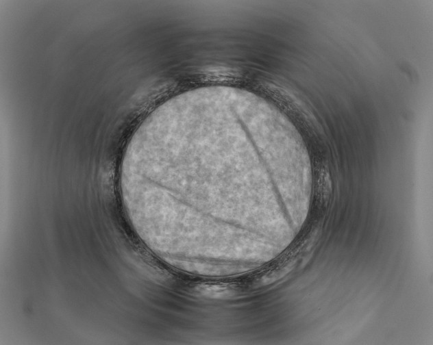 X0000112090557200909011106