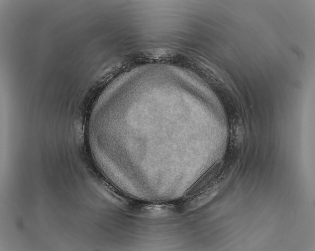X0000112090558200909011106