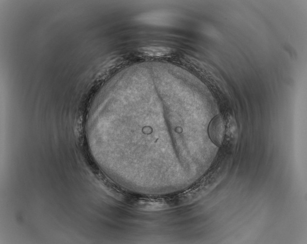 X0000112090559200909011106