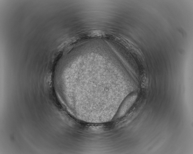 X0000112090560200909011106