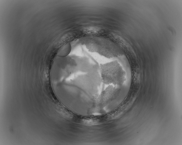 X0000112090561200909011106