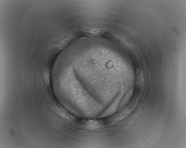 X0000112090562200909011106