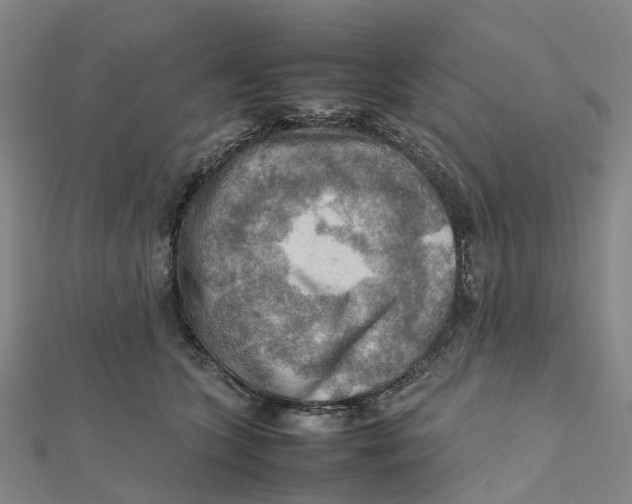 X0000112090563200909011106