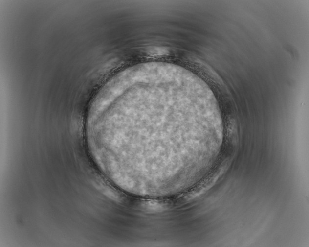 X0000112090565200909011106