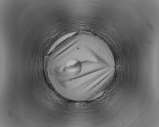 X0000112090566200909011106