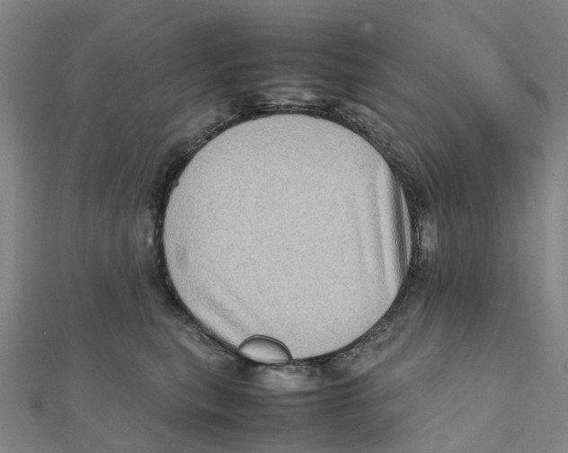 X0000112090567200909011106