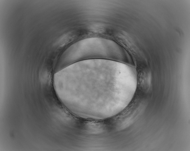 X0000112090568200909011107