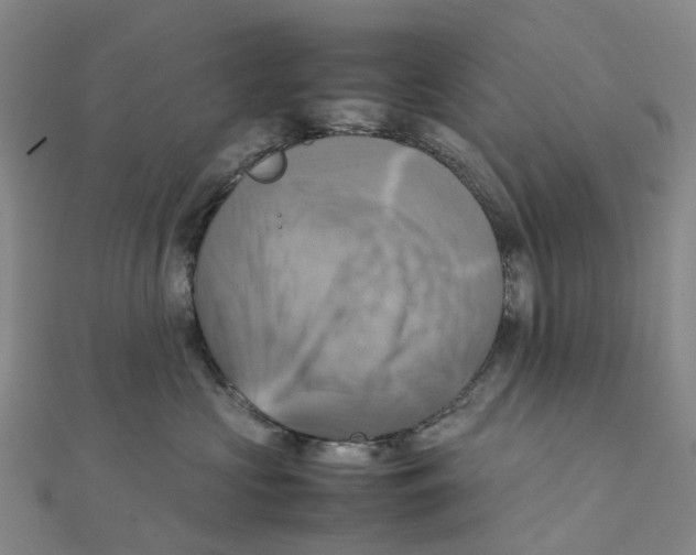 X0000112090573200909011107