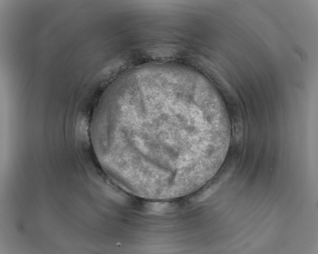 X0000112090575200909011107