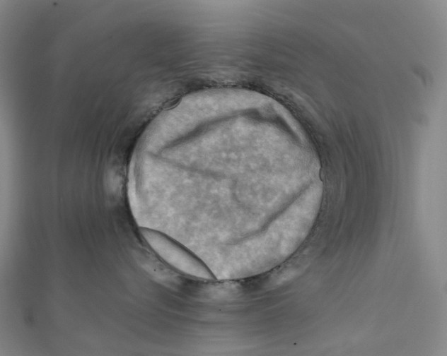 X0000112090576200909011107